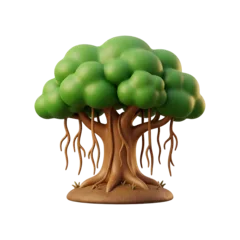 Banyan tree, traditionally recognised national tree of India