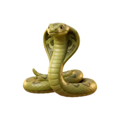 King Cobra, popularly recognised as India's national reptile