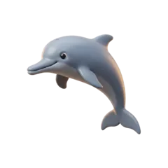 Ganges River Dolphin, national aquatic animal of India