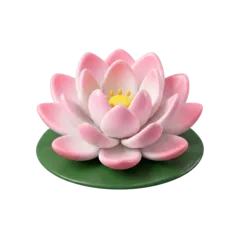 Lotus, traditionally recognised national flower of India