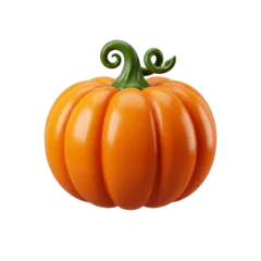 Pumpkin, popularly recognised national vegetable of India